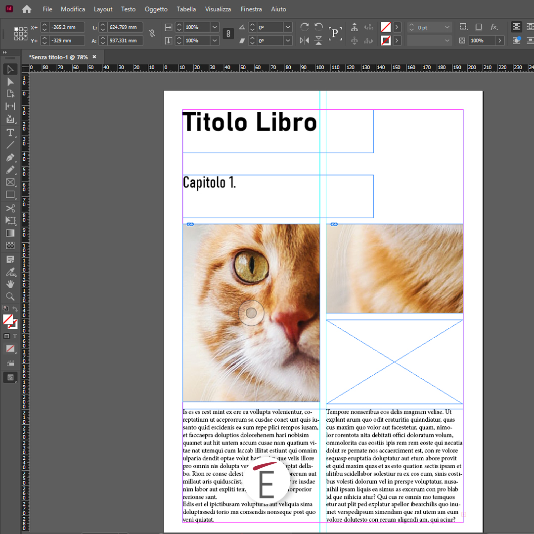 usare le cornici in Adobe InDesign per inserire immagini