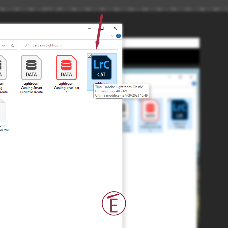 Fai doppio click sull'icona del catalogo appena spostato in una nuova destinazione per lanciare Adobe Lightroom Classic